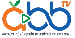 ABB TV